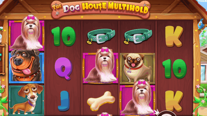 The Dog House Multihold Köpek Kulübesinden Çıkan Servet